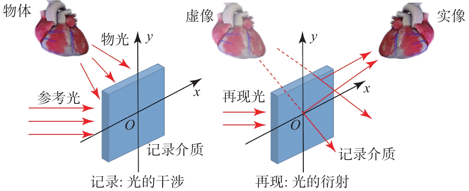 裸眼三维显示技术在医学中的应用总结