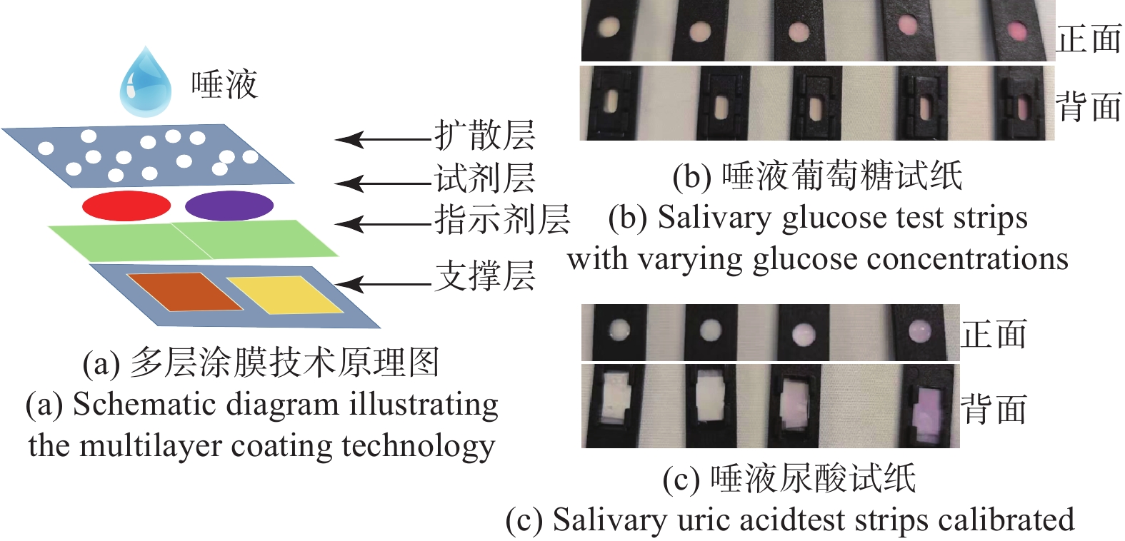 基于唾液的即时检测技术研究进展与应用前景